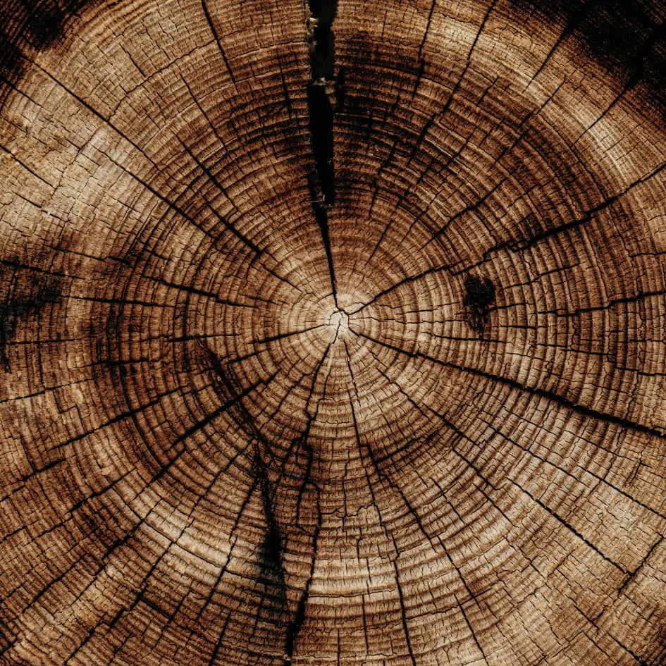 Sandalwood - Enchantment Pot