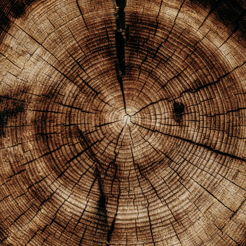 Sandalwood Scented Pillar Candle