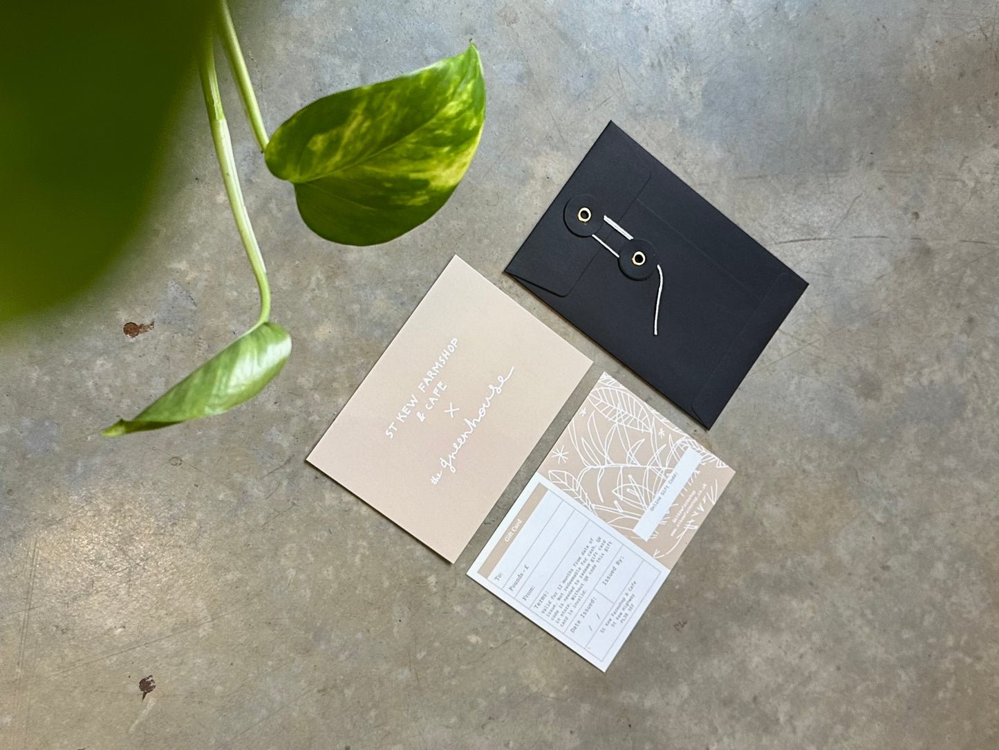Gift Card - In Store & Online