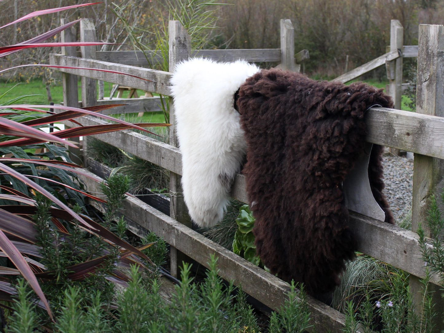 Sheepskin Lucky Pick - Dark