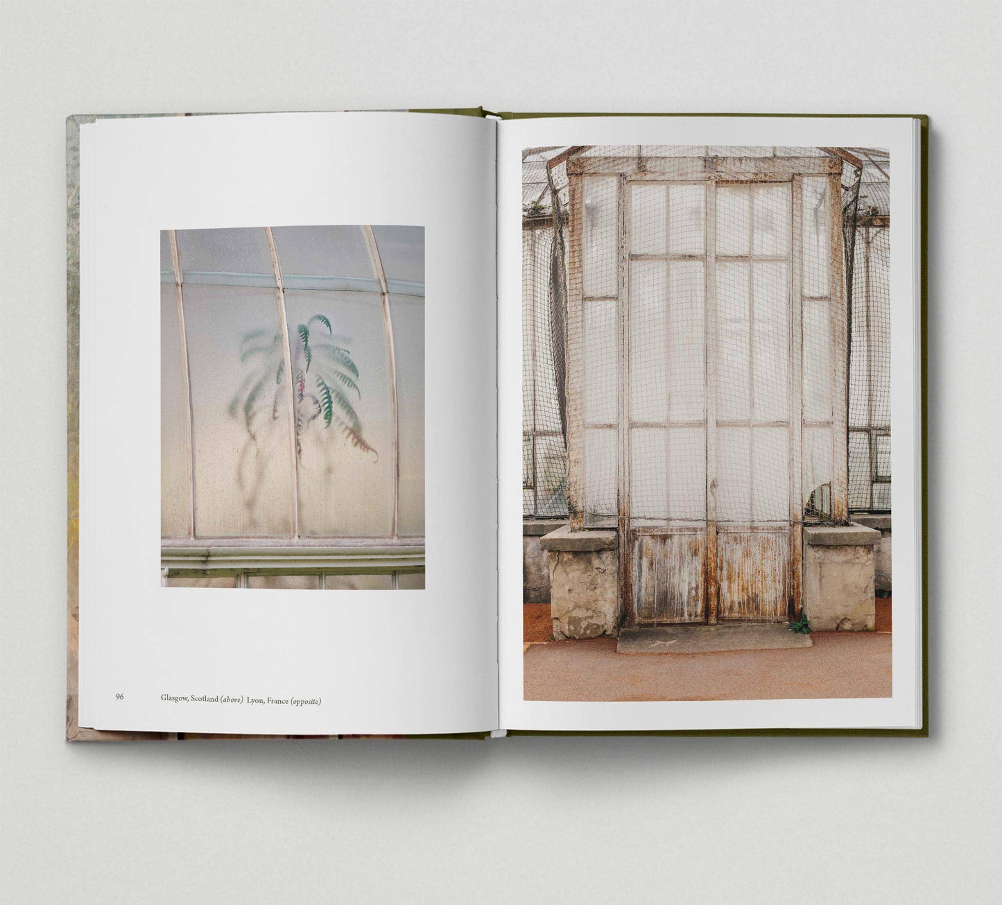 Botanical (Book 6: Tales from the City)